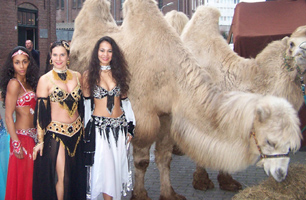 arabische show