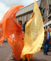 buikdanseres feest prijs