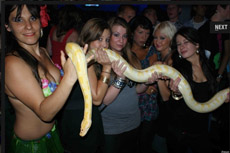 show met slangen