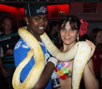 slangen shows